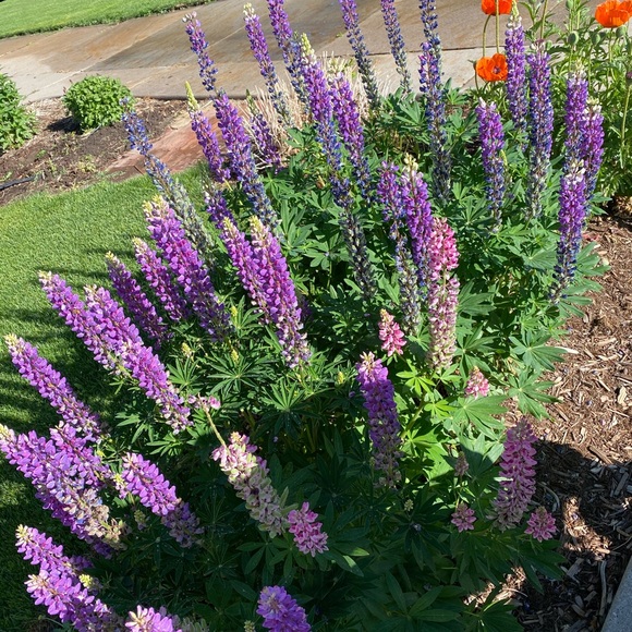 Follow my BFF @cgriffin97 - Picture 4 of 6